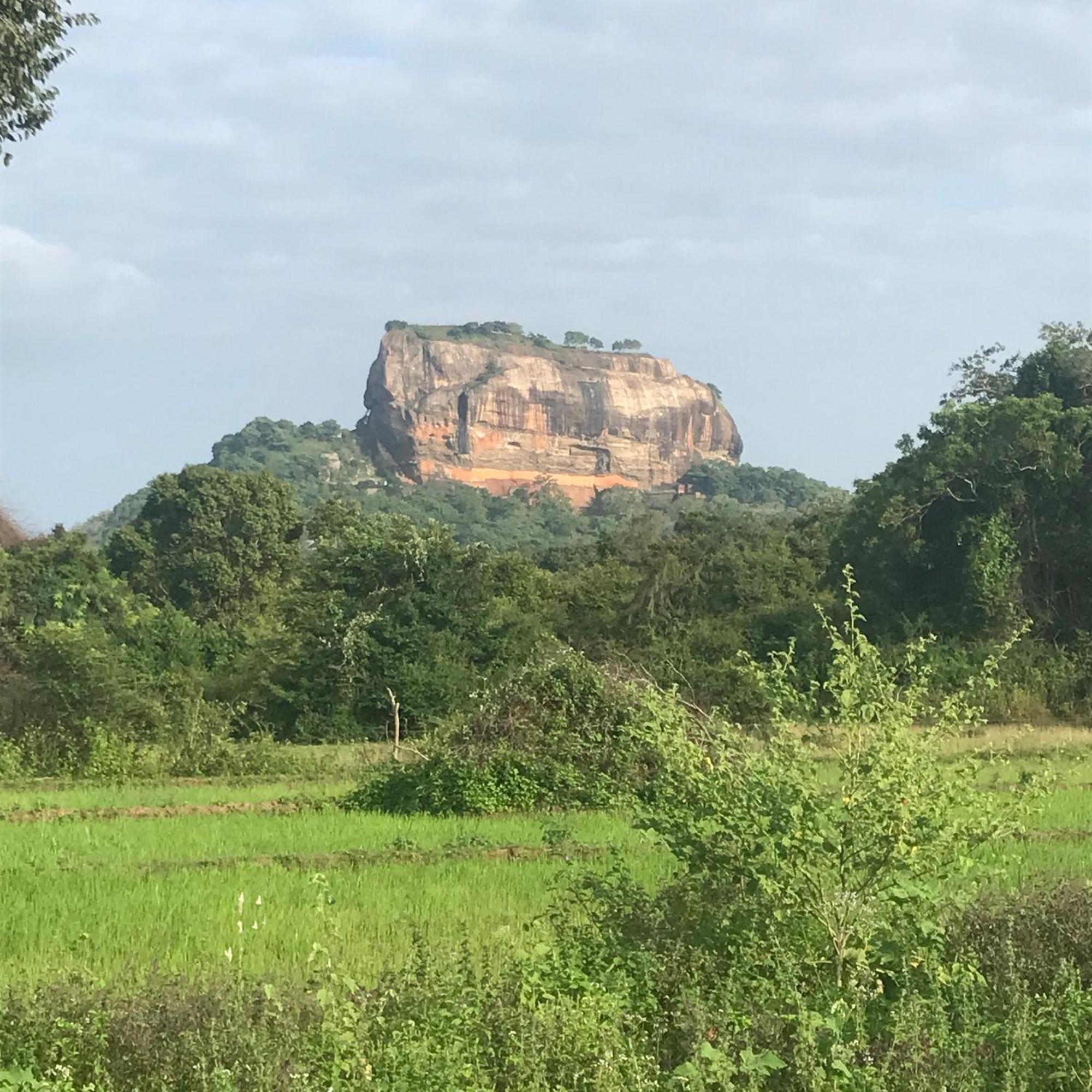 Iduwara Guest Apartment Sigiriya Ngoại thất bức ảnh